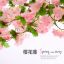 Picture of 仿真花球